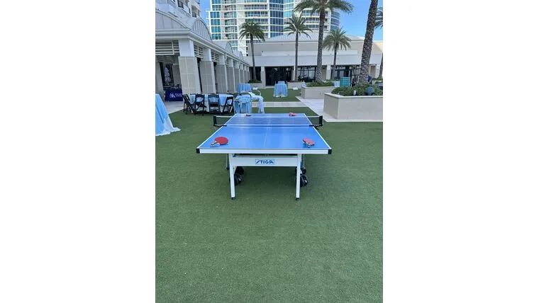 Ping Pong Table