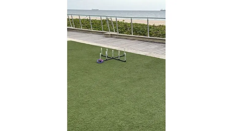 Ring Toss LED