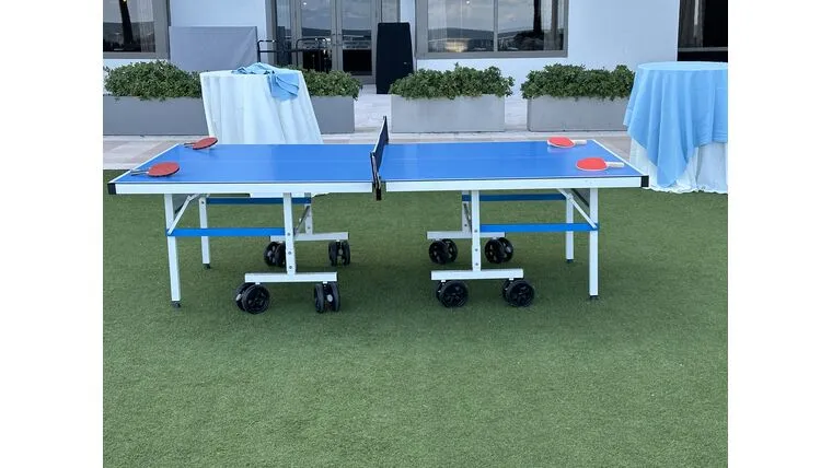 Ping Pong Table — alternate view